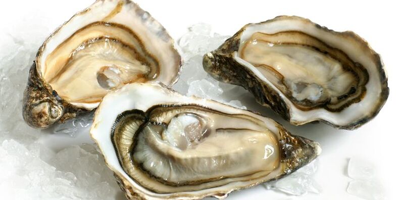 oyster photo for potency 2
