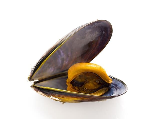 Due to its high zinc content, mussels improve sperm quality